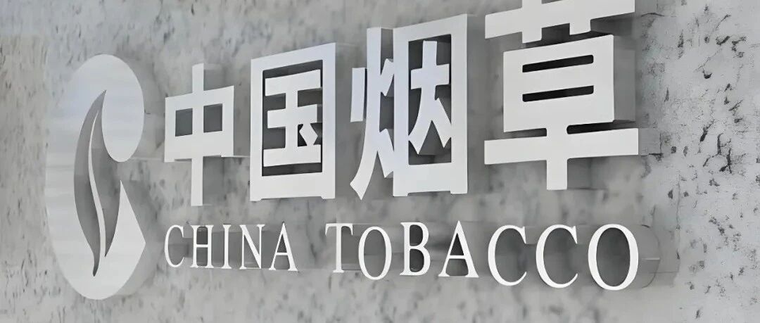 小鸟科技助力擘画四川烟草培训新图景